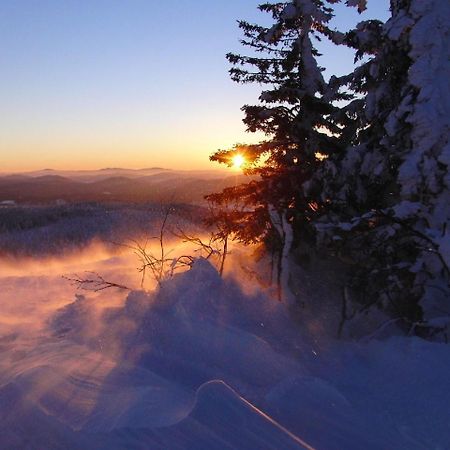 Pension Draxlerhof Neuschönau エクステリア 写真