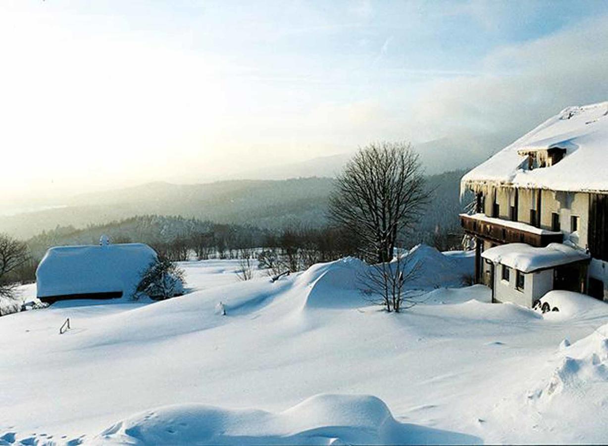 Pension Draxlerhof Neuschönau エクステリア 写真