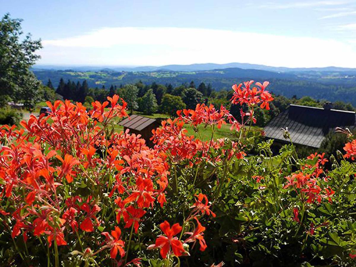 Pension Draxlerhof Neuschönau エクステリア 写真