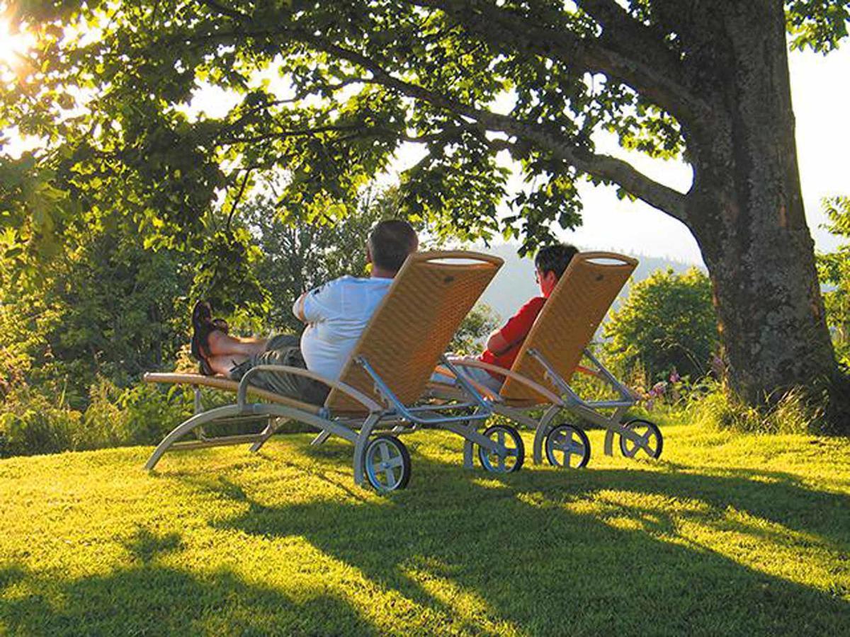 Pension Draxlerhof Neuschönau エクステリア 写真