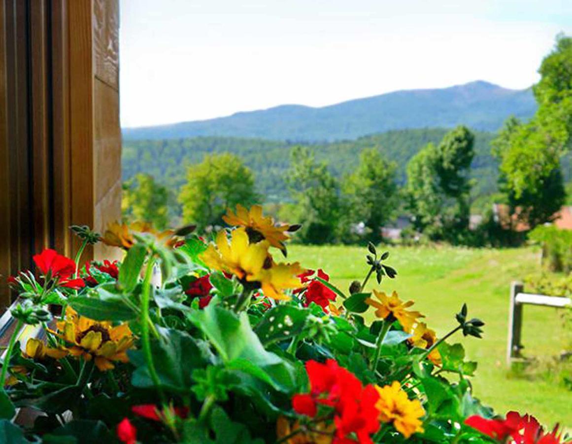 Pension Draxlerhof Neuschönau エクステリア 写真
