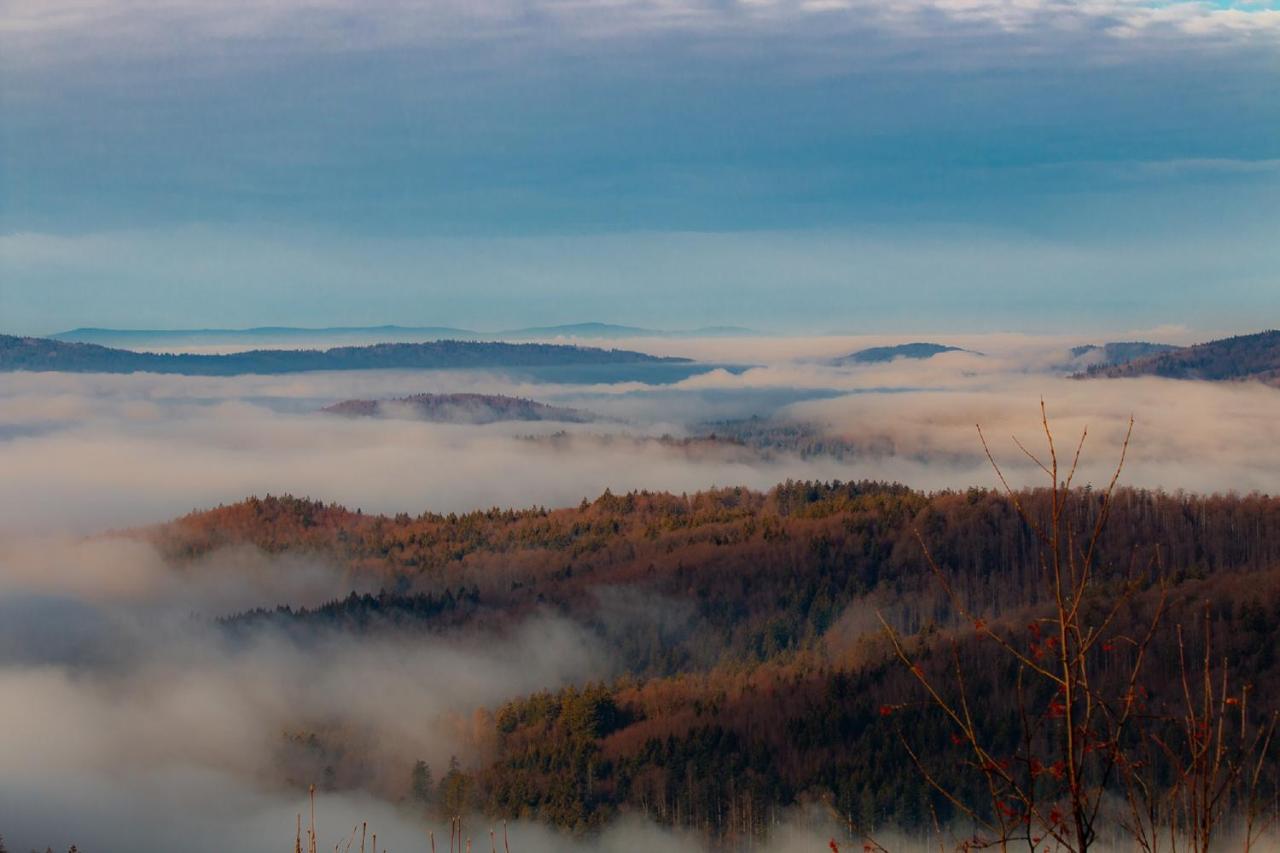 Pension Draxlerhof Neuschönau エクステリア 写真