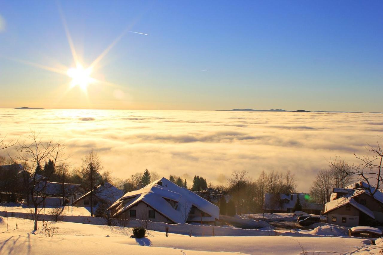 Pension Draxlerhof Neuschönau エクステリア 写真