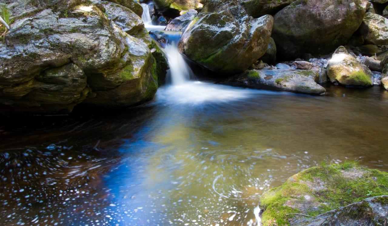 Pension Draxlerhof Neuschönau エクステリア 写真