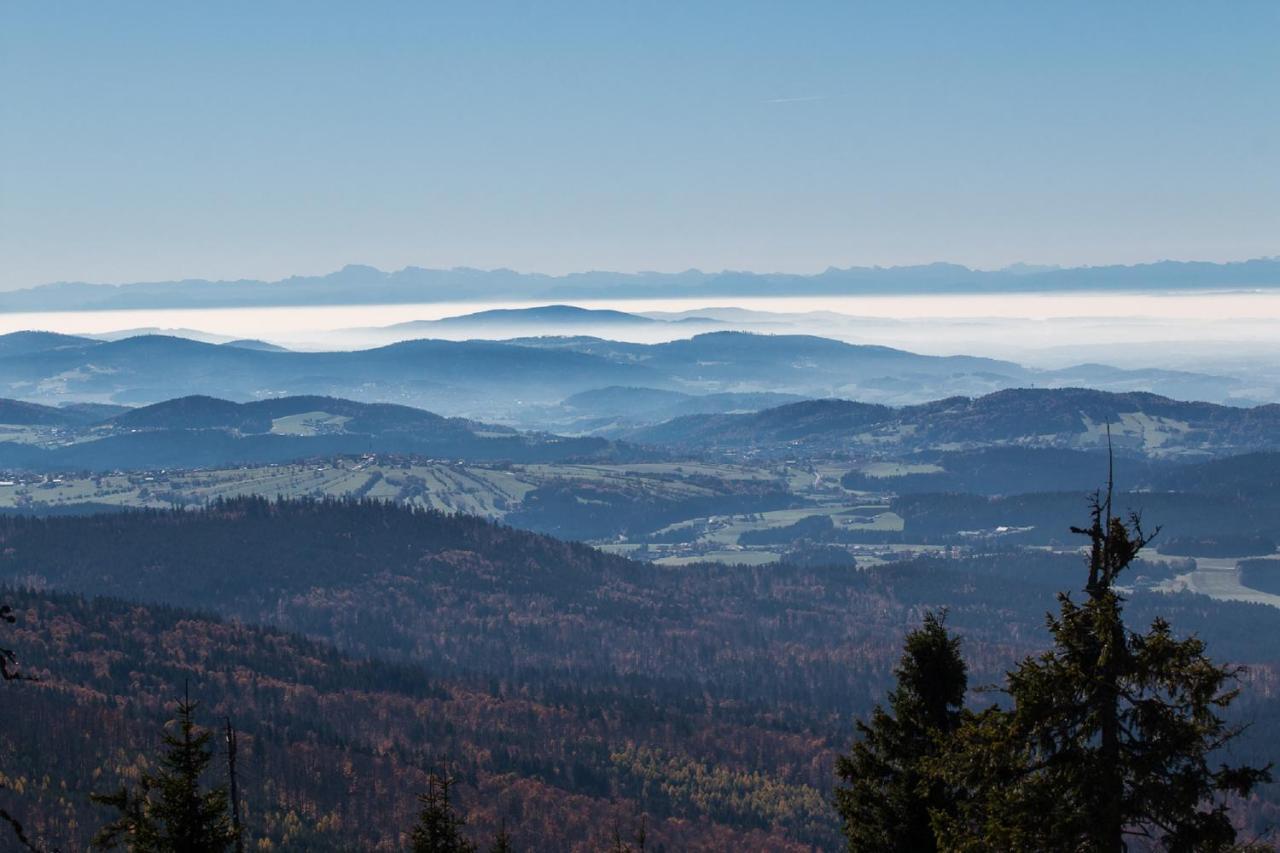 Pension Draxlerhof Neuschönau エクステリア 写真