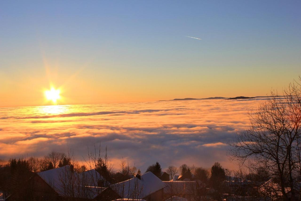 Pension Draxlerhof Neuschönau エクステリア 写真
