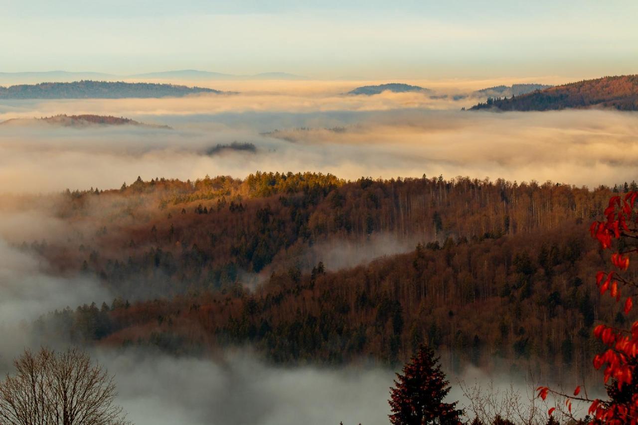 Pension Draxlerhof Neuschönau エクステリア 写真