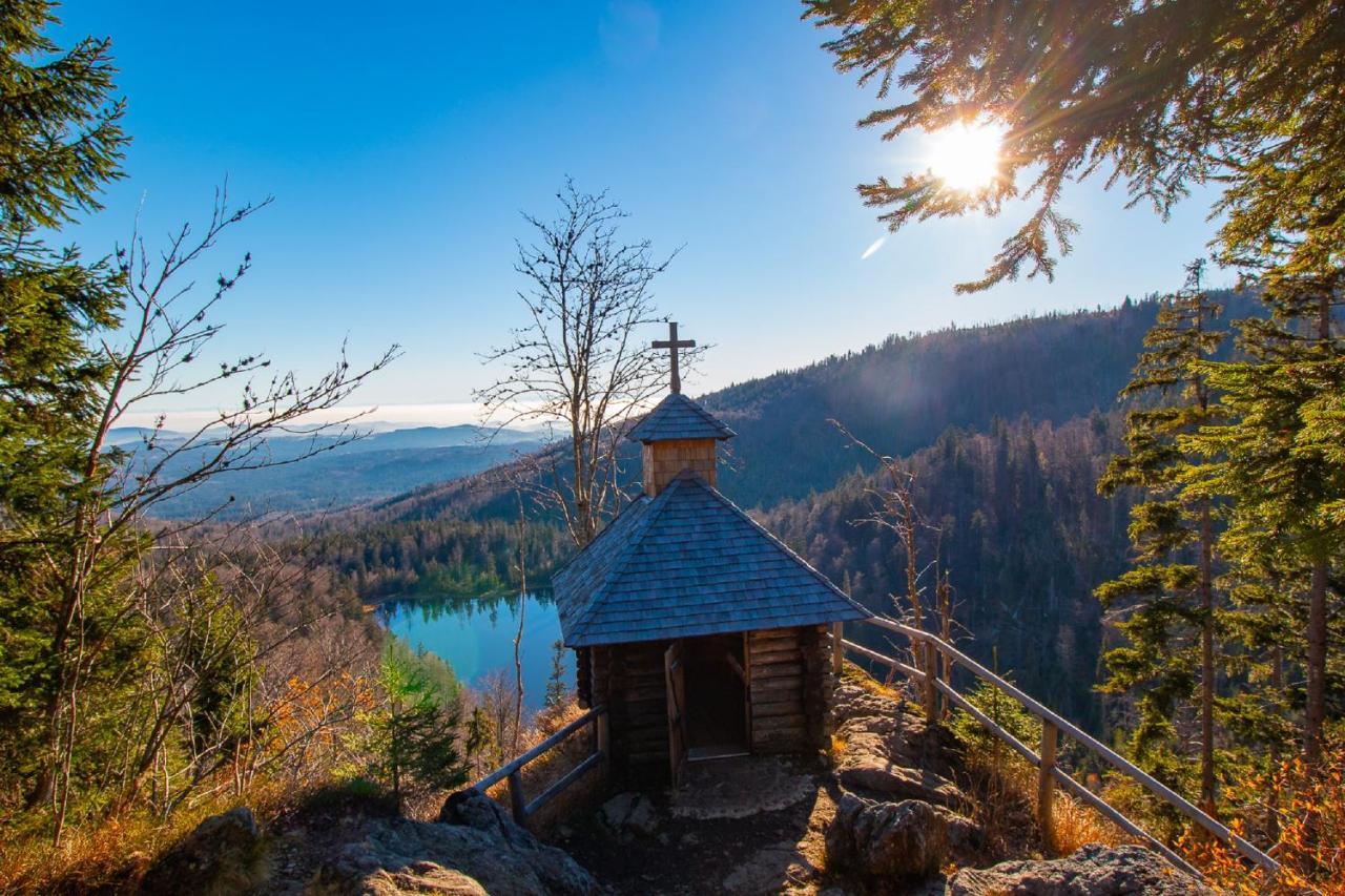 Pension Draxlerhof Neuschönau エクステリア 写真
