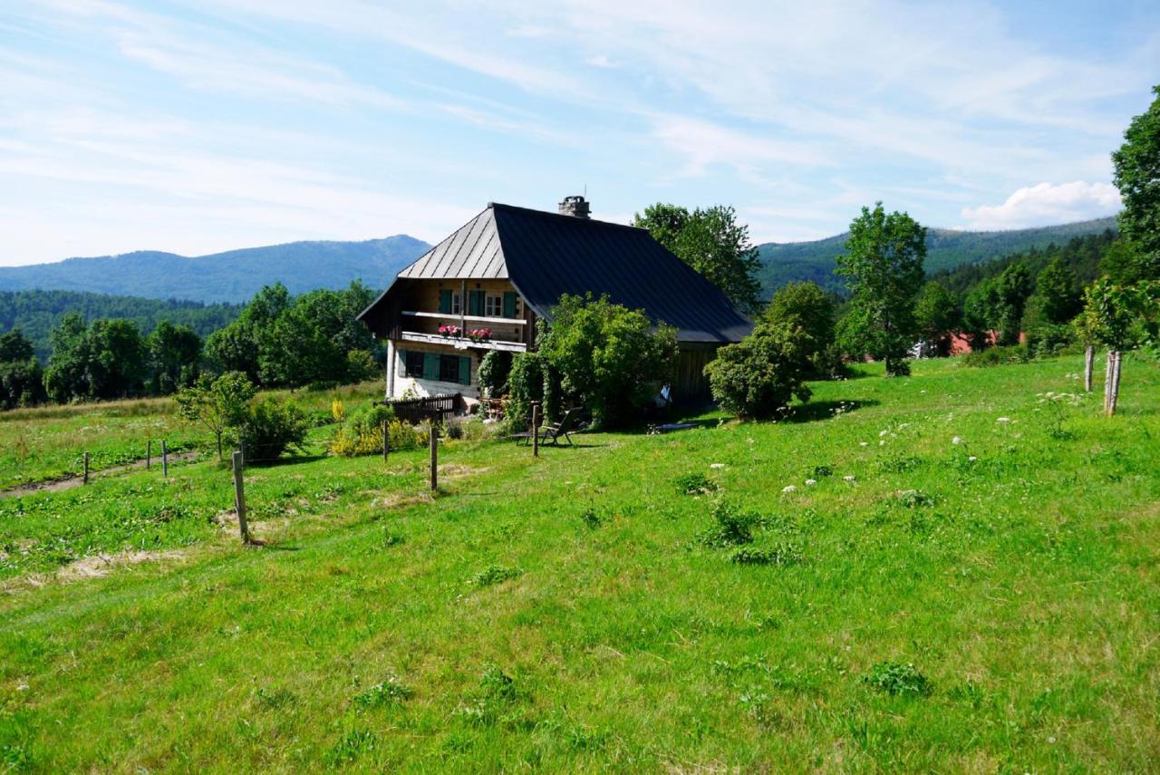 Pension Draxlerhof Neuschönau エクステリア 写真