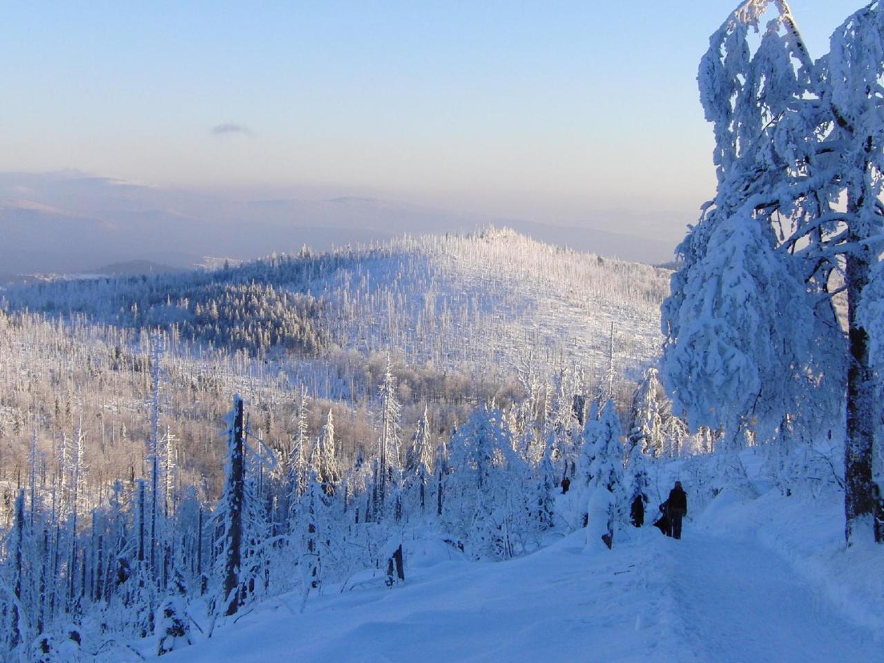 Pension Draxlerhof Neuschönau エクステリア 写真