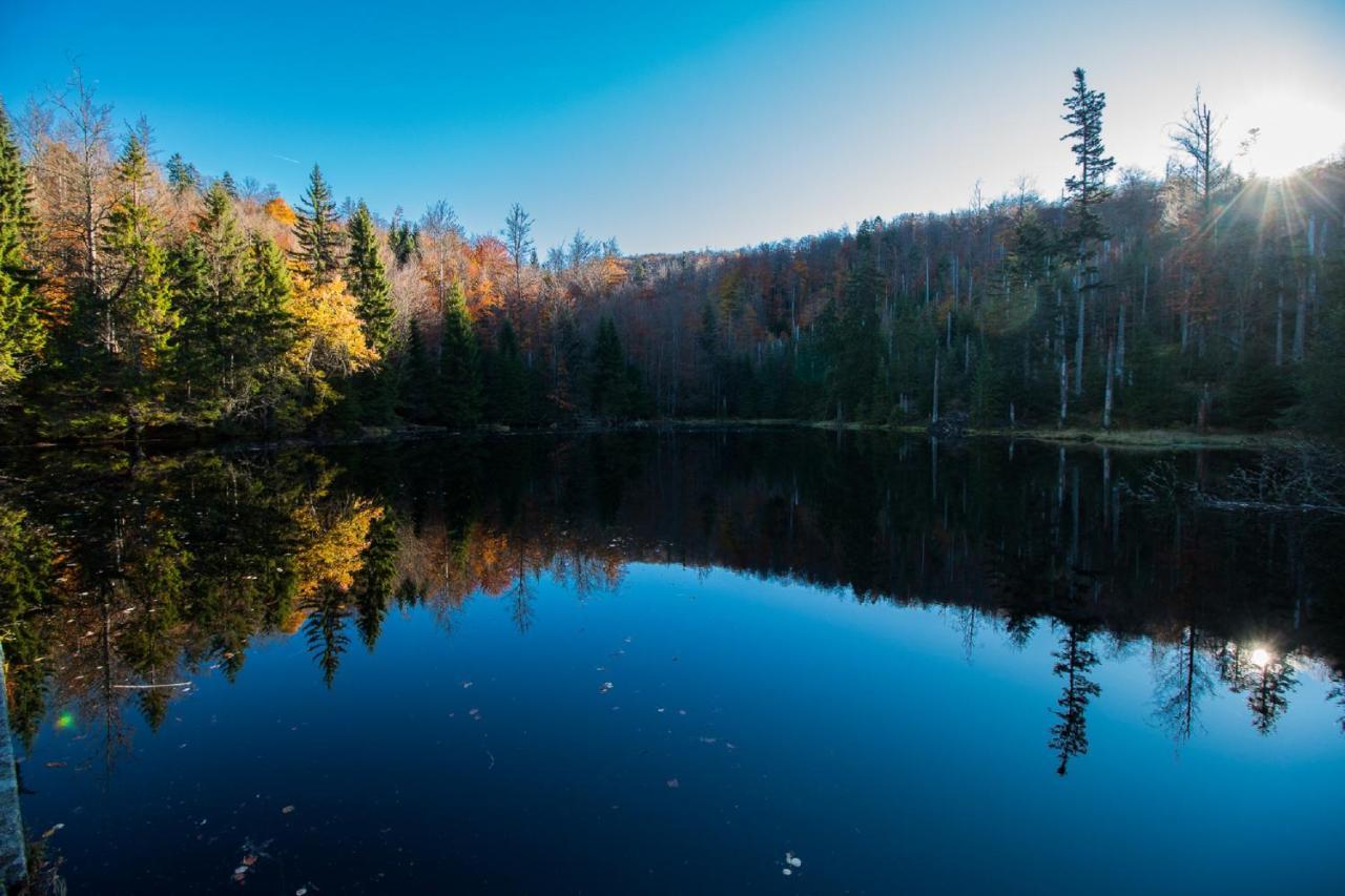 Pension Draxlerhof Neuschönau エクステリア 写真