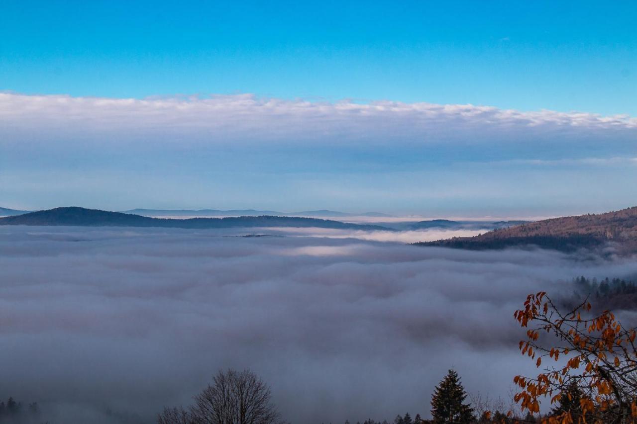 Pension Draxlerhof Neuschönau エクステリア 写真