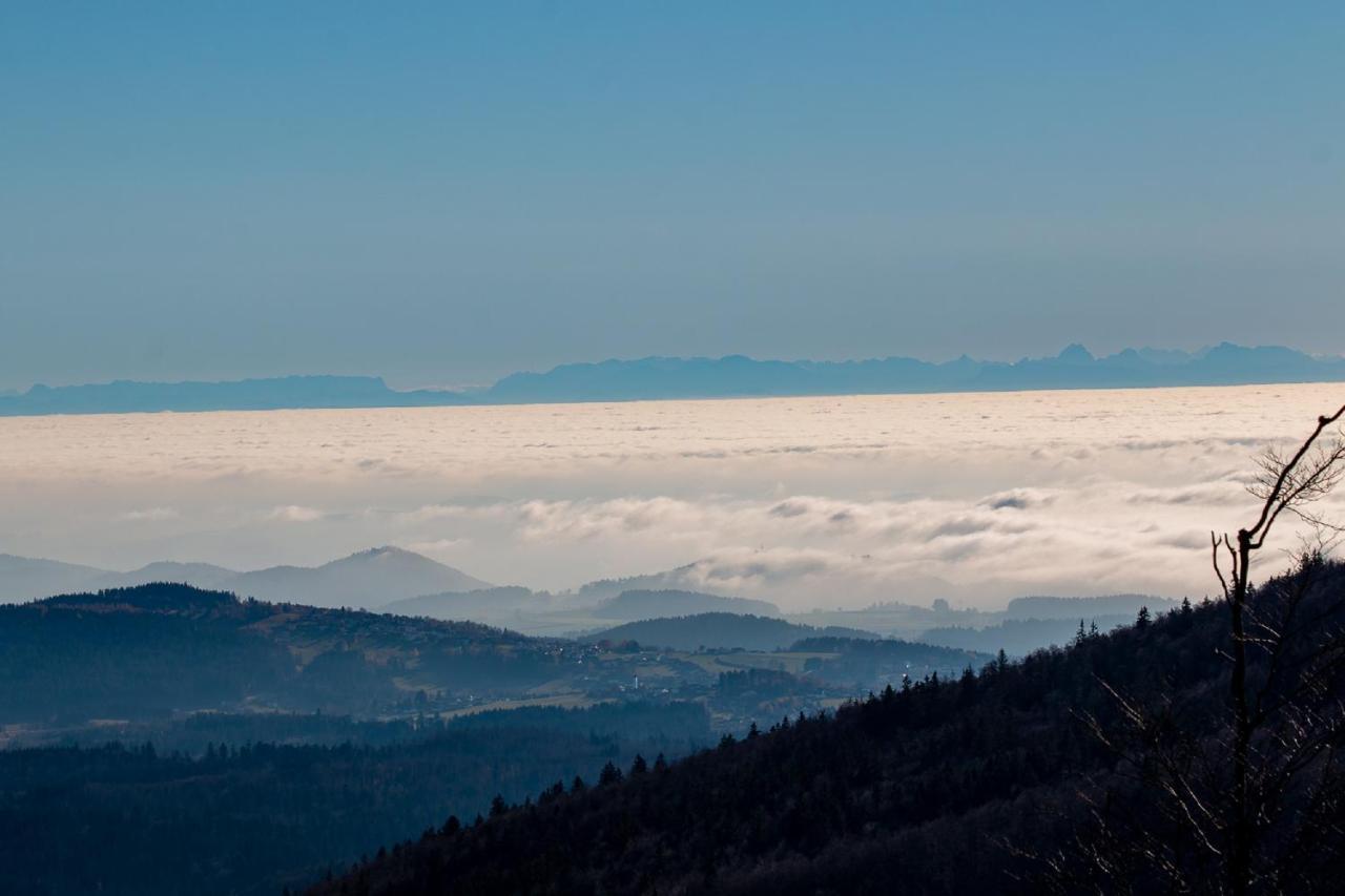 Pension Draxlerhof Neuschönau エクステリア 写真